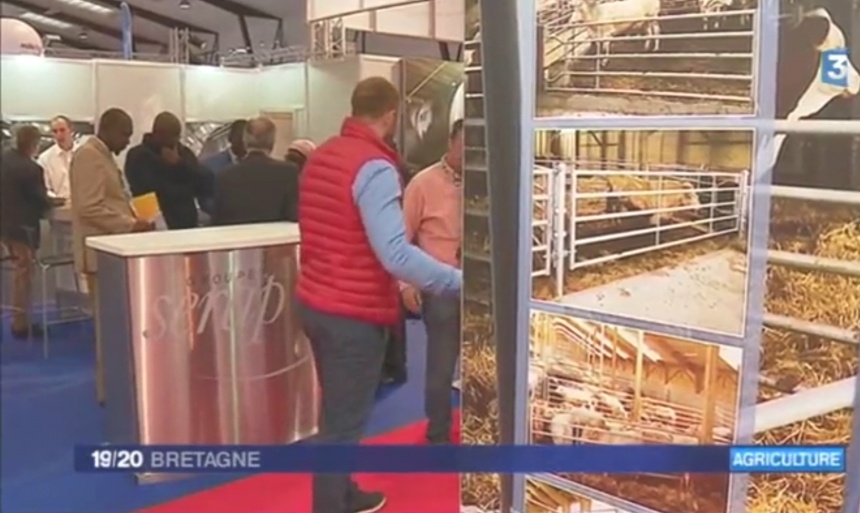 Francia 3 Bretana - JT 19/20 Bretana 14/09/2017